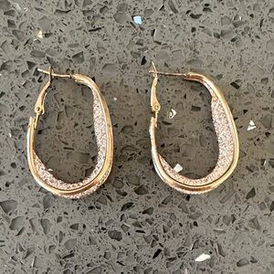 Elegant Gold and Silver Hoop Earrings